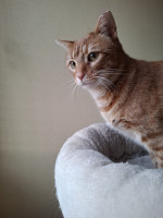 /album/26-02-20261/whatsapp-image-2026-02-26-at-17-59-53-1-jpeg/